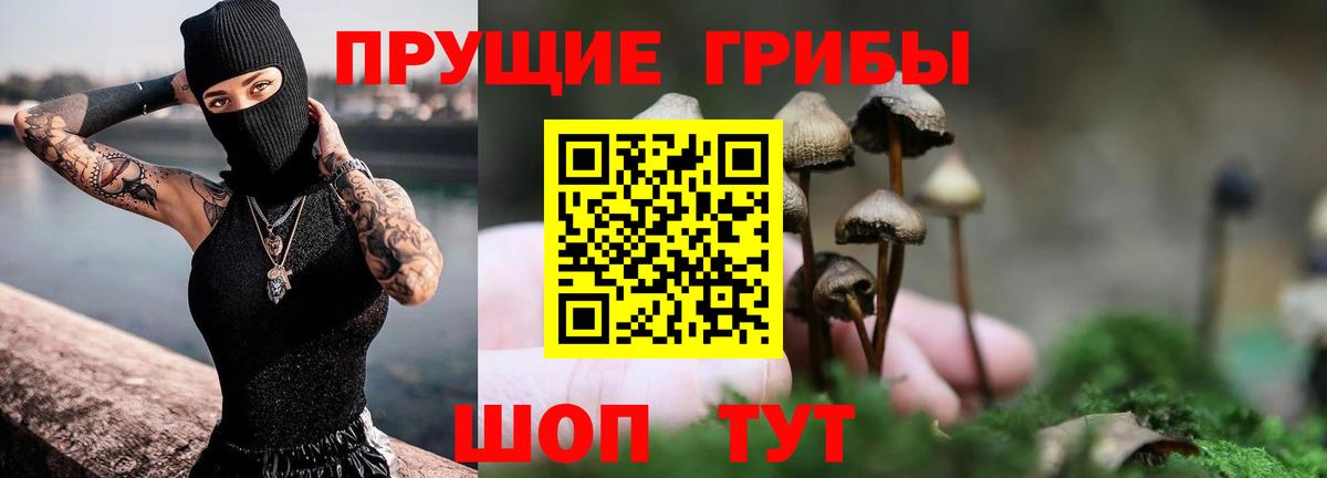 Галлюциногенные грибы ЛСД  где купить   Ефремов  Вход с VPN 
